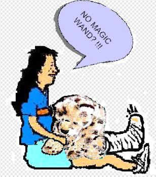 nomagicwand03