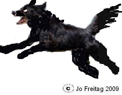 blackdog07