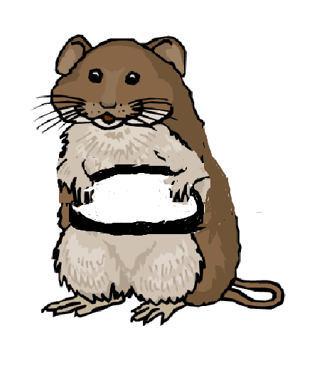 moremouse